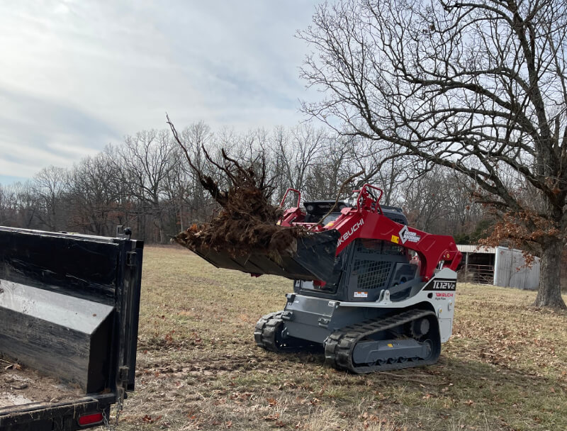 A skid-steer picking up tree rotten roots